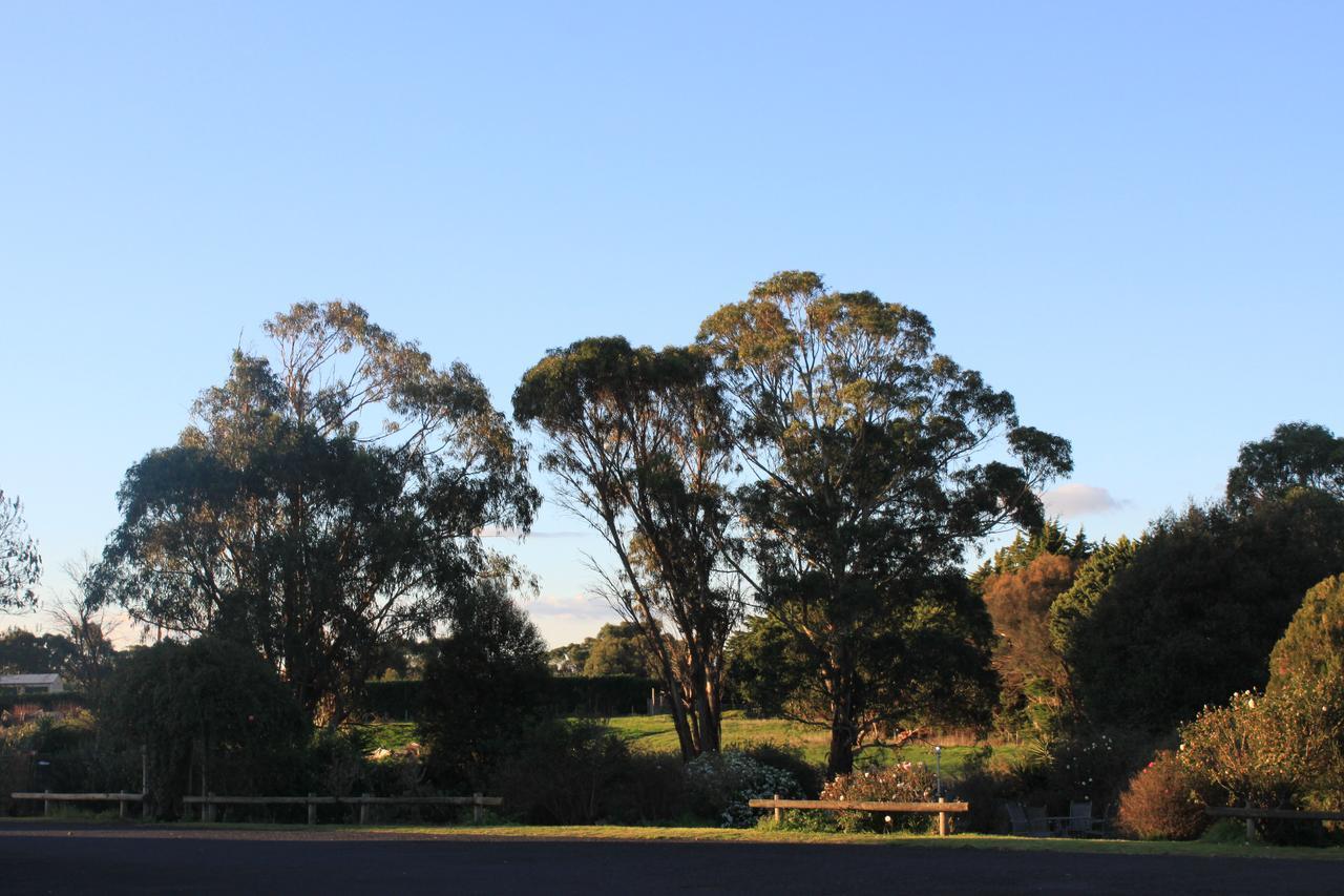 Mt Gambier International Motell Mount Gambier Exteriör bild