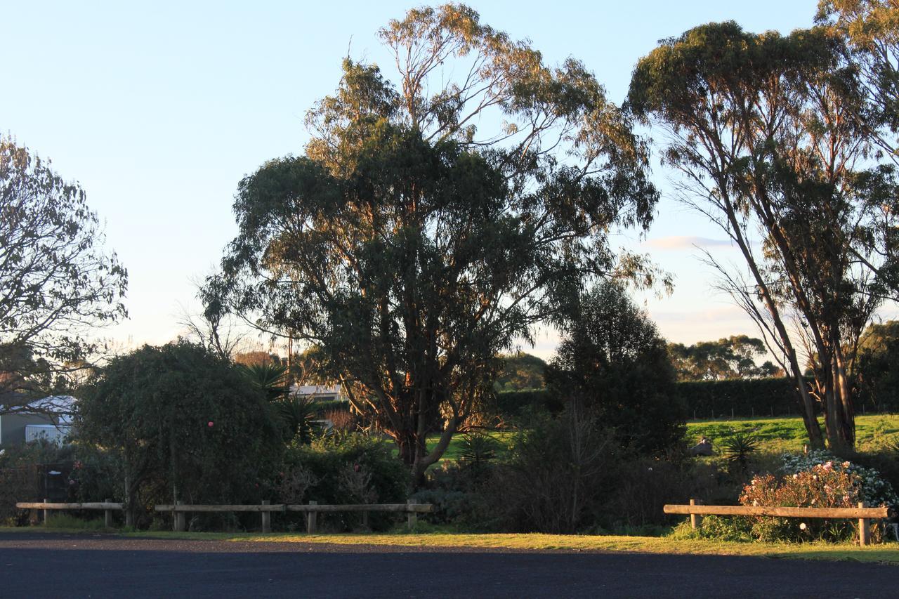 Mt Gambier International Motell Mount Gambier Exteriör bild